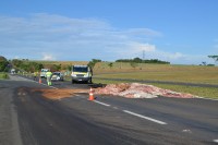 Com o tombamento do caminhão, carga de couro ficou espalhada na pista