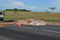 Com o tombamento do caminhão, carga de couro ficou espalhada na pista