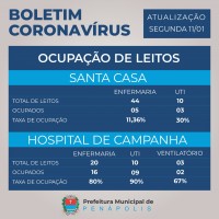 Ocupação dos leitos do Hospital de Campanha e da Santa Casa