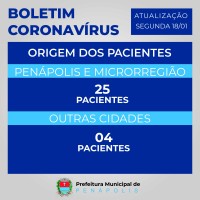 Origem dos pacientes internados