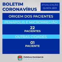 Origem dos pacientes internados no Hospital de Campanha e Santa Casa