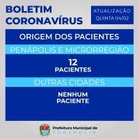 Origem dos pacientes internados no Hospital de Campanha e Santa Casa