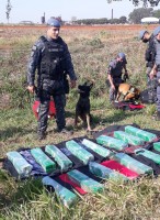 84 tijolos de maconha foram encontrados pelos cães nas bagagens